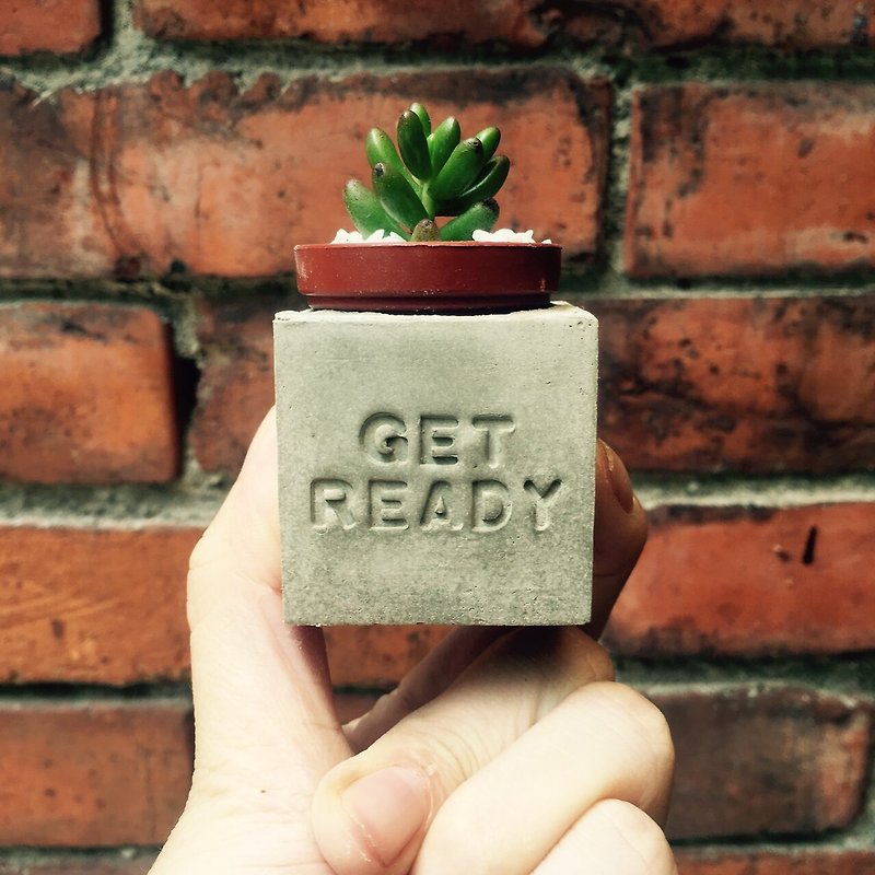 Get ready, I'm ready~! Succulent Magnet Potted Plant - ตกแต่งต้นไม้ - ปูน สีเทา