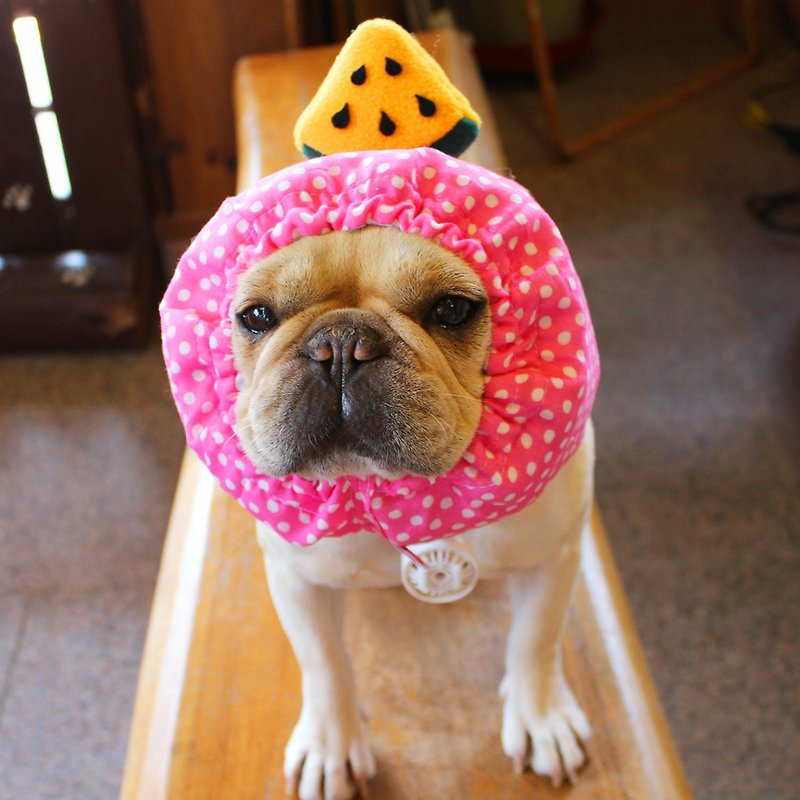 冷やし犬ヅラ　ピンク　黄スイカ - 洋服・帽子 - ウール ピンク