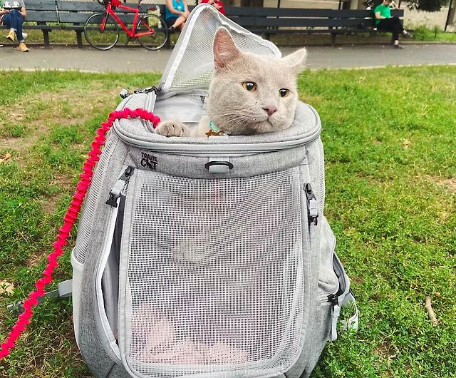 The Navigator Earth Convertible Cat Backpack - For Adventurous Cats