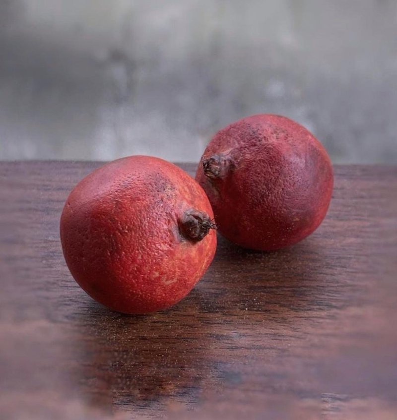 Miniature pomegranate. TUTORIAL polymer clay. Mini food. Fake fruits. jewelry di - 嬰幼兒玩具/毛公仔 - 黏土 