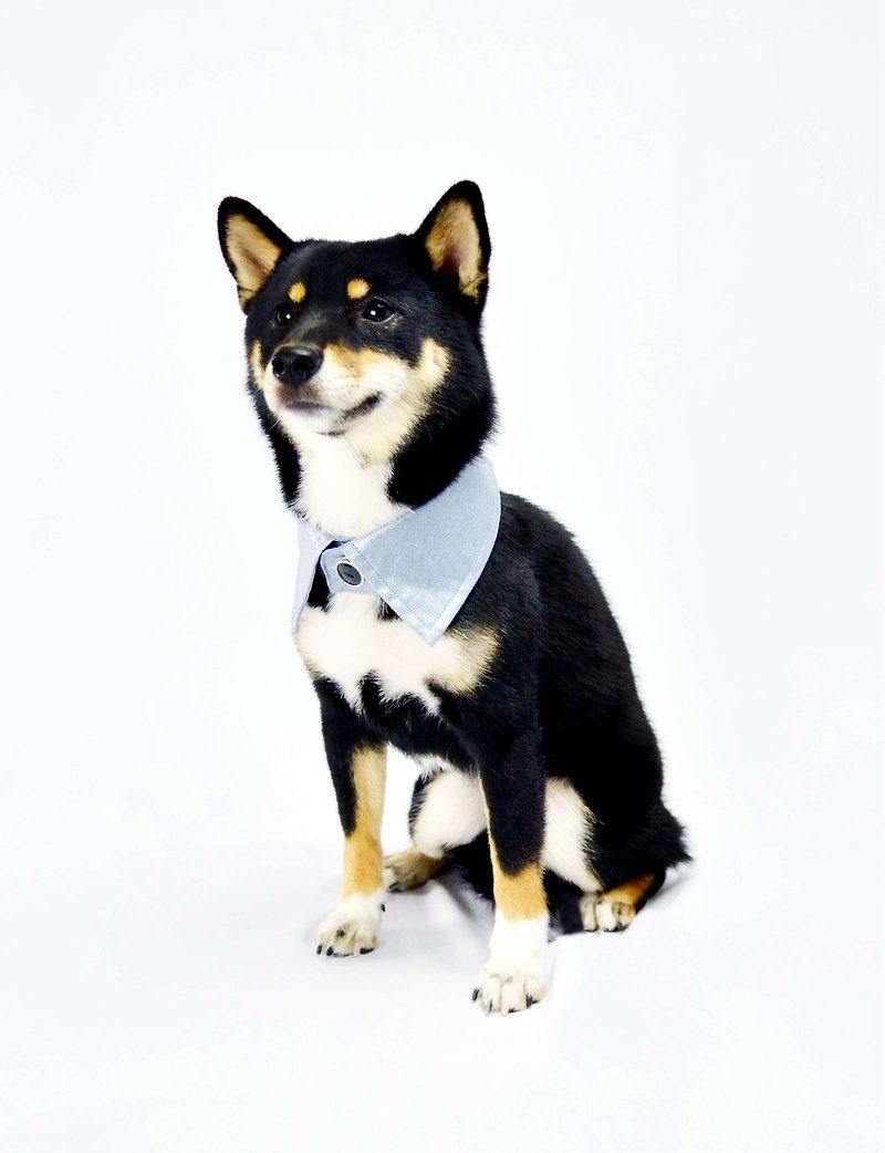 Pet Reversible Shirt Collar-Silver SV (XL/2XL/3XL) - ชุดสัตว์เลี้ยง - ผ้าฝ้าย/ผ้าลินิน สีเงิน