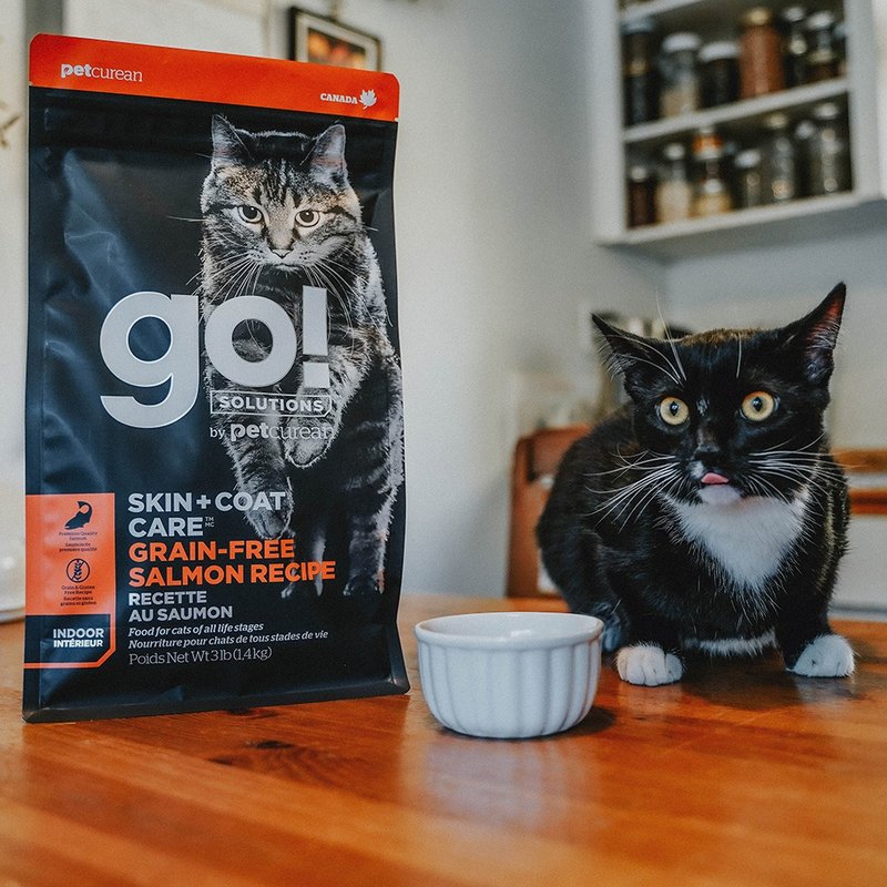 [Cat staple food] go! Wild salmon whole cat fur health series grain-free cat feed - อาหารแห้งและอาหารกระป๋อง - อาหารสด 