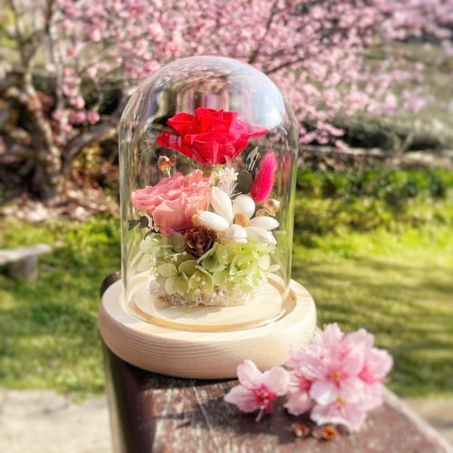 Hey Bonnie 芸格花藝 時光玫瑰 永恆心意 永生花禮物推薦 永生花玻璃罩 生日禮物 客製
