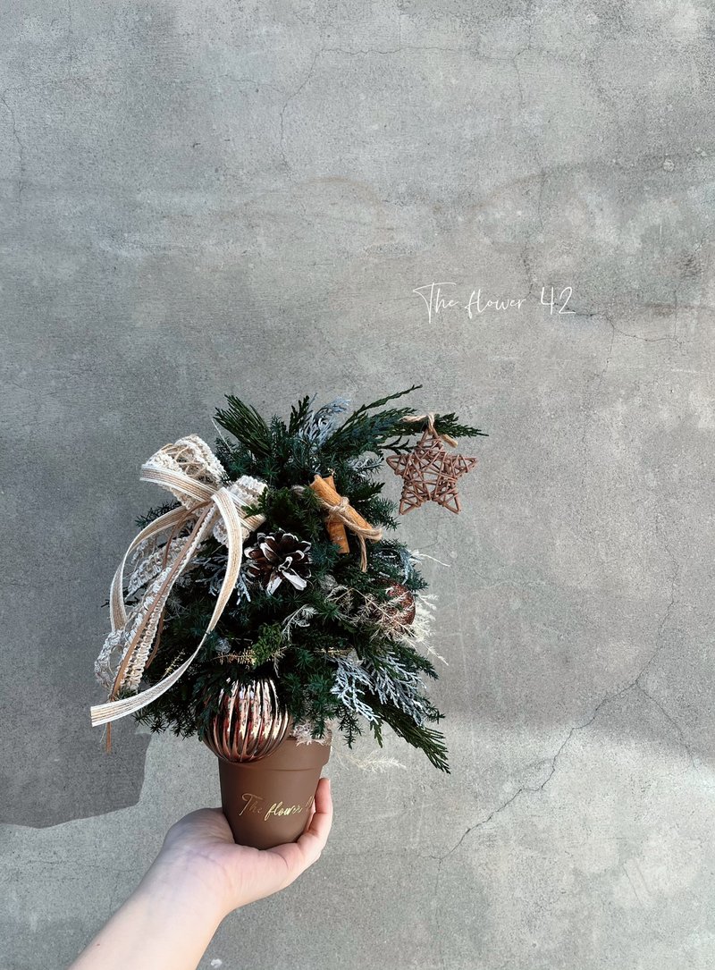 Everlasting Christmas Tree - Dried Flowers & Bouquets - Plants & Flowers 