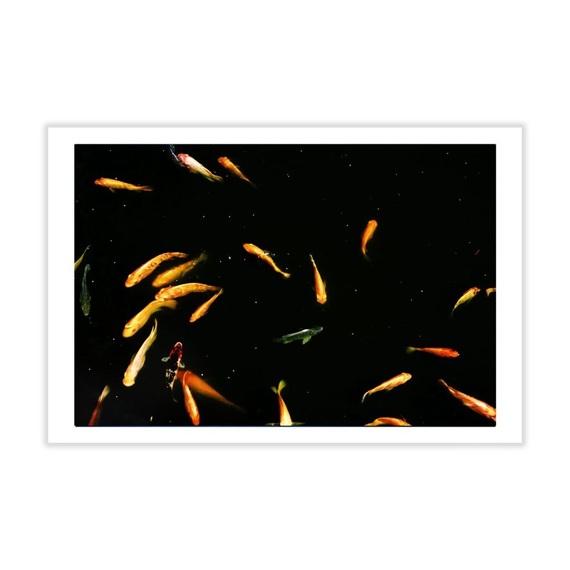 Nature Postcard, Koi Fish Photo, Photo Postcard, 4x6 Postcard - 卡片/明信片 - 紙 