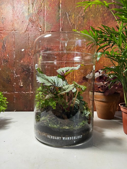 景觀丸藝 Verdant Wanderlust 【生態缸-綠穹蒼】微景觀 室內植栽 禮物 辦公室擺設