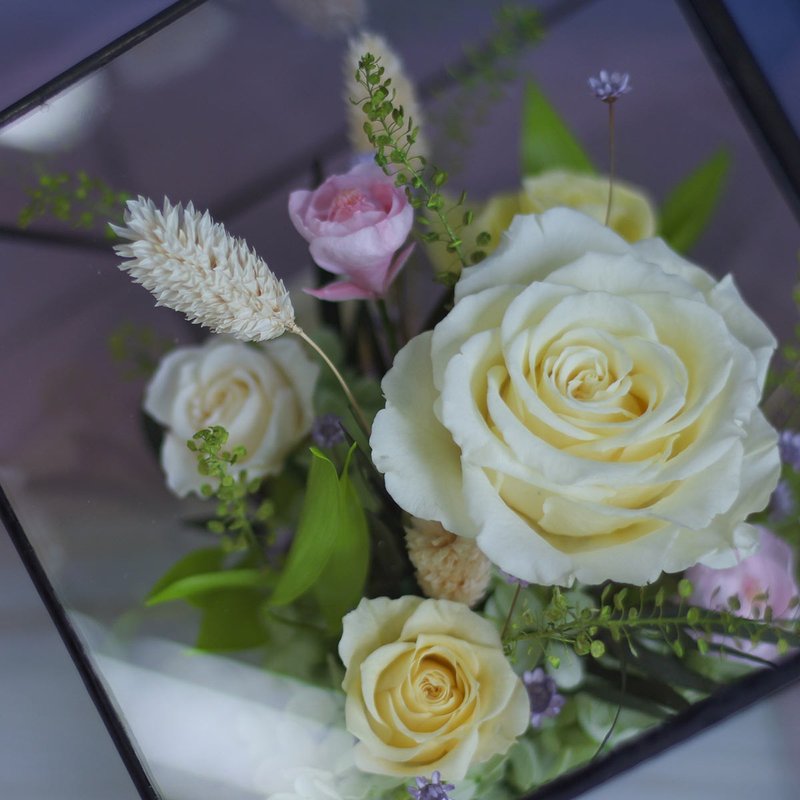 永生花玻璃罩盅/框住幸福 玻璃屋/客製不凋花玫瑰花花禮/乾燥花 - 乾燥花/永生花 - 植物．花 多色