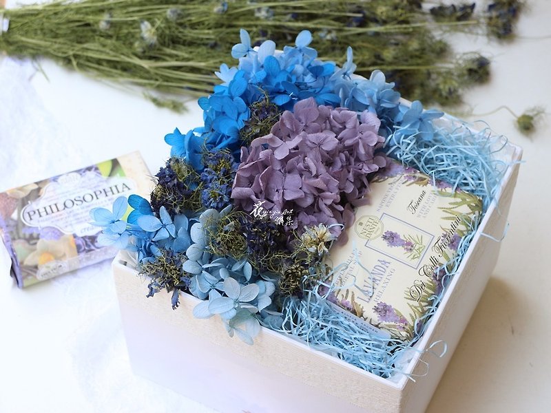 寵愛自己-寧靜藍花盒 - 植物/盆栽/盆景 - 植物．花 藍色