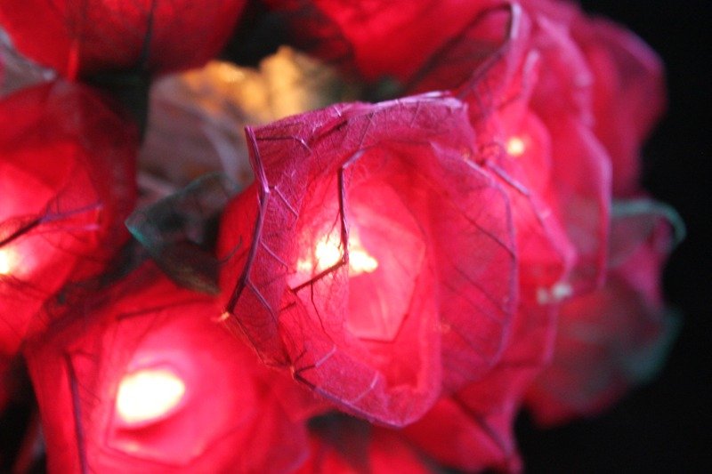 35 Romance Red Rose String lights for Patio,Wedding,Party and Decoration - โคมไฟ - วัสดุอื่นๆ 
