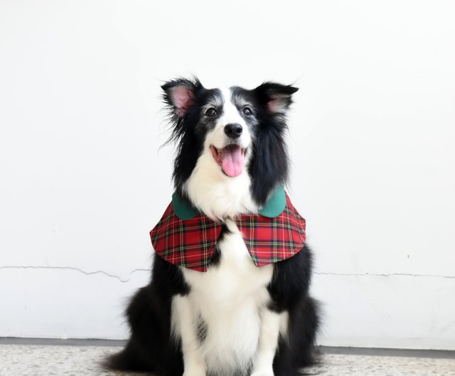 レッドとグリーンの犬のおしり ブリティッシュスタイルのセット ケープ ベレー帽 ショップ Zazazoo 洋服 帽子 Pinkoi