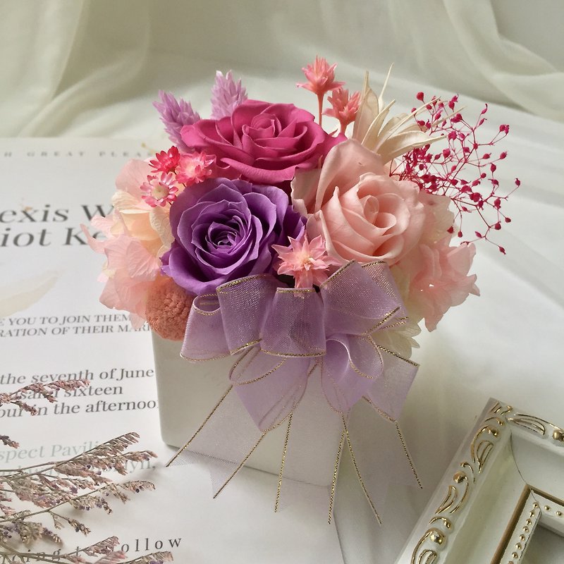 甘いロマンチックな紫色のアマランスセレモニー - 観葉植物 - 寄せ植え・花 ピンク