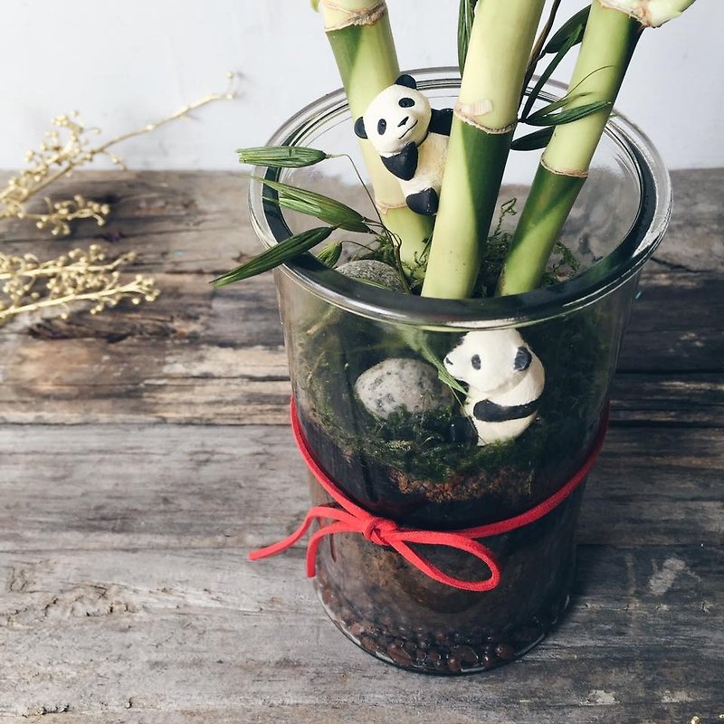 Panda planting and healing small things - Plants - Plants & Flowers Green