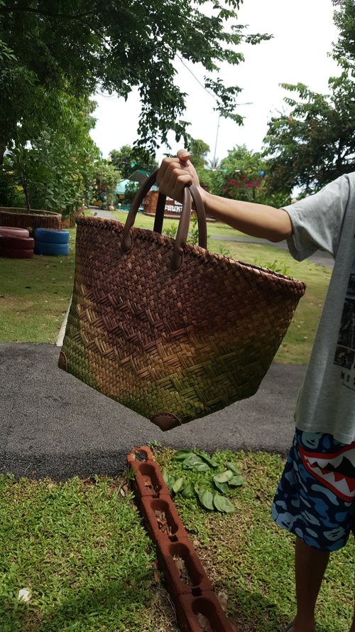 Distinctive Handwoven Krajood Bag with cane handles