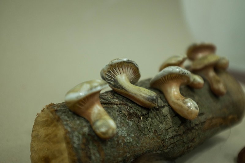 Story Series ---Mushrooms regardless of the season of mushroom mushroom chopstick holder--- - class chrysanthemum 3 - ตะเกียบ - ดินเผา สีกากี