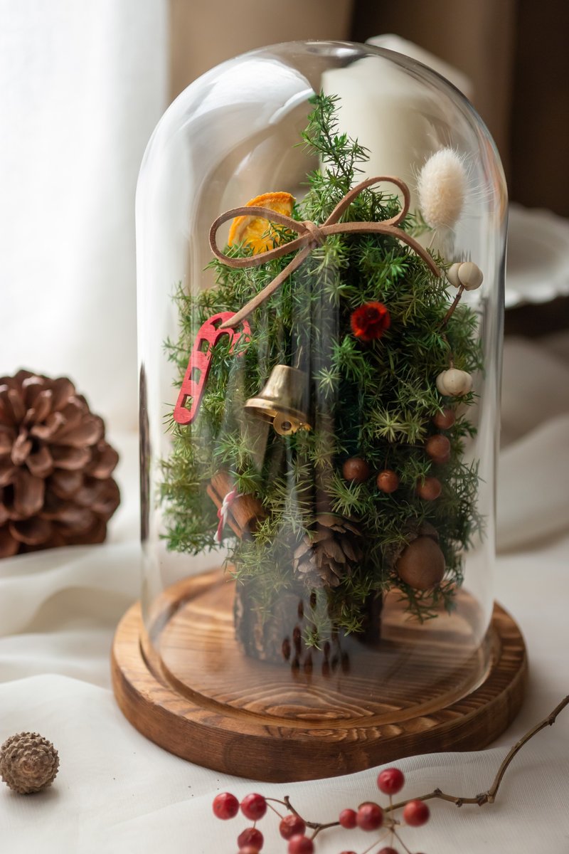 Everlasting Christmas Tree Bell Jar | DIY Christmas Bare Tree Decoration | Christmas Gifts | Parent-child Handmade - Dried Flowers & Bouquets - Plants & Flowers Green