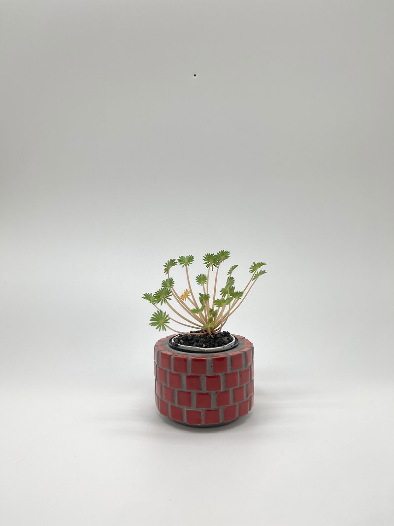 磁器モザイク花器/小 - 花瓶・植木鉢 - コンクリート レッド