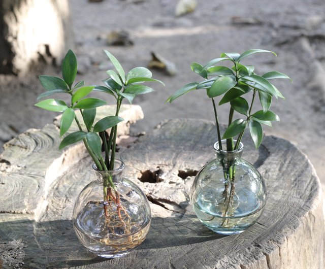 世界を覆う雑草の生命力を写す。 渡邊耕一が個展「Moving Plants