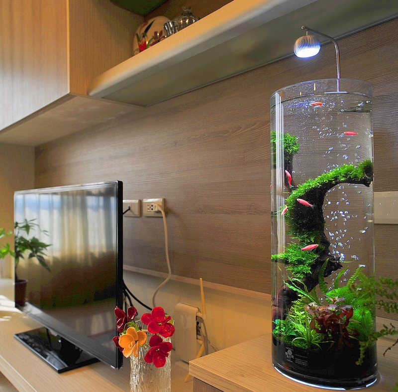 【Free Shipping】Building Block Impression Live Aquatic Ecological Decompression Fish Tank 【Moss Sunken Wood Elegant Driftwood】 - Other - Glass Silver