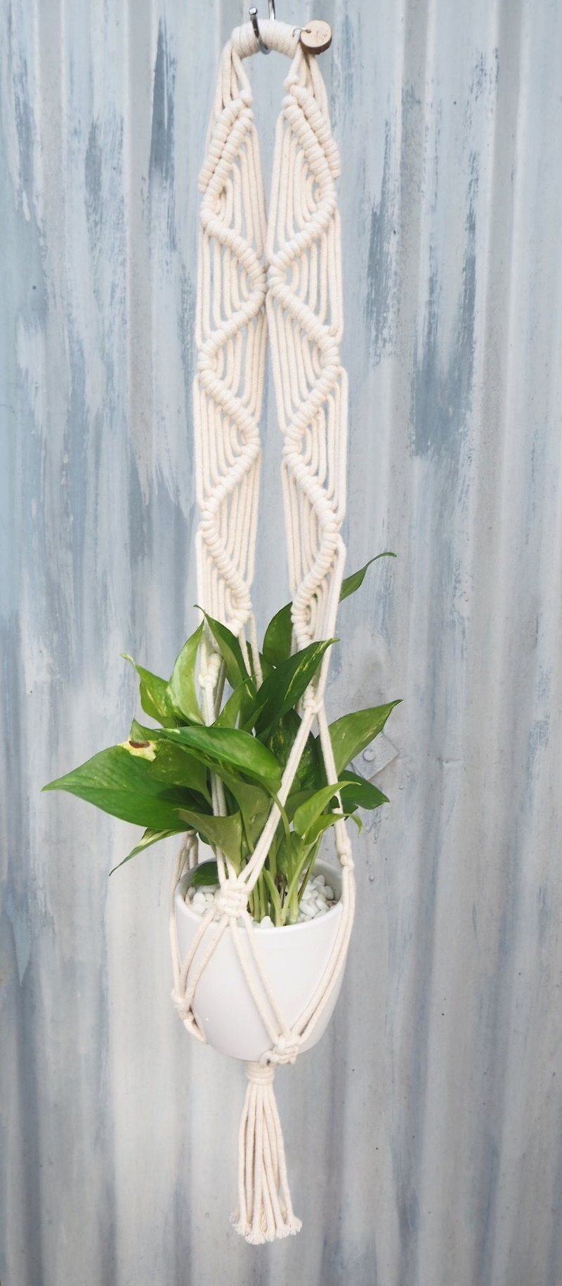 Macrame Plant Hanger / Curve - Plants - Cotton & Hemp White