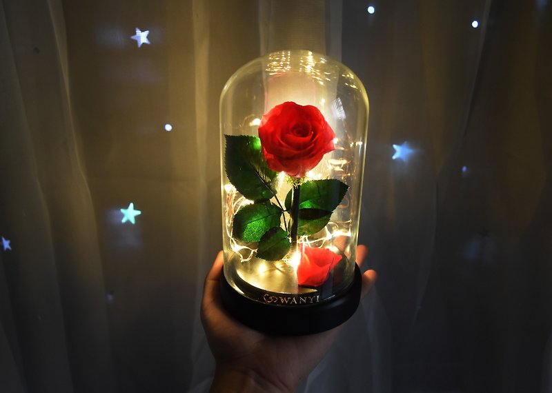 Beauty and the Beast Eternal Glass Cover Roses (Little Star Warm Light) Permanent Flowers Dried Flowers for Valentine's Day - Plants - Plants & Flowers Red