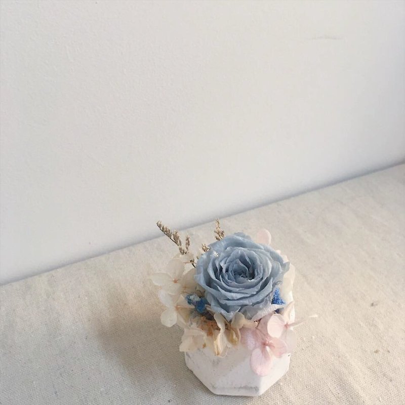 永遠の小さな鉢花 - ドライフラワー・ブーケ - 寄せ植え・花 ホワイト