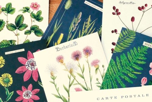 Cavallini & Co. 臺灣經銷 Cavallini & Co. Vintage Postcards Set 鐵盒明信片組 18入