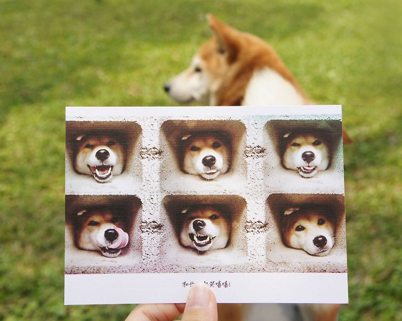 [Mangogirl] you smile together! Shiba six Burst Postcards - การ์ด/โปสการ์ด - กระดาษ 