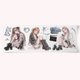 recommend-product