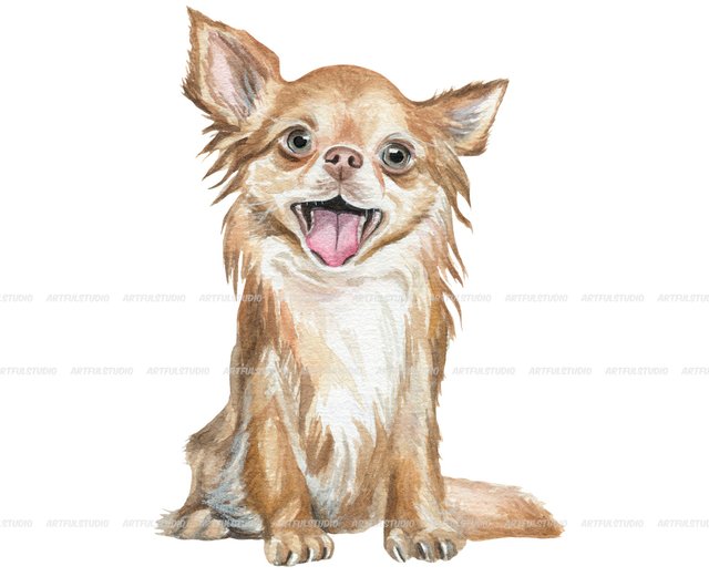 chiwawa clipart