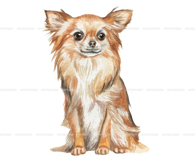 chiwawa clipart