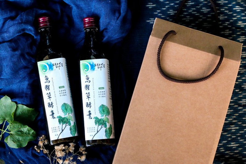 【天然防禦】自栽手釀 兩年發酵 魚腥草酵素 500ml二入提盒客製 - 醋/水果醋 - 濃縮/萃取物 綠色