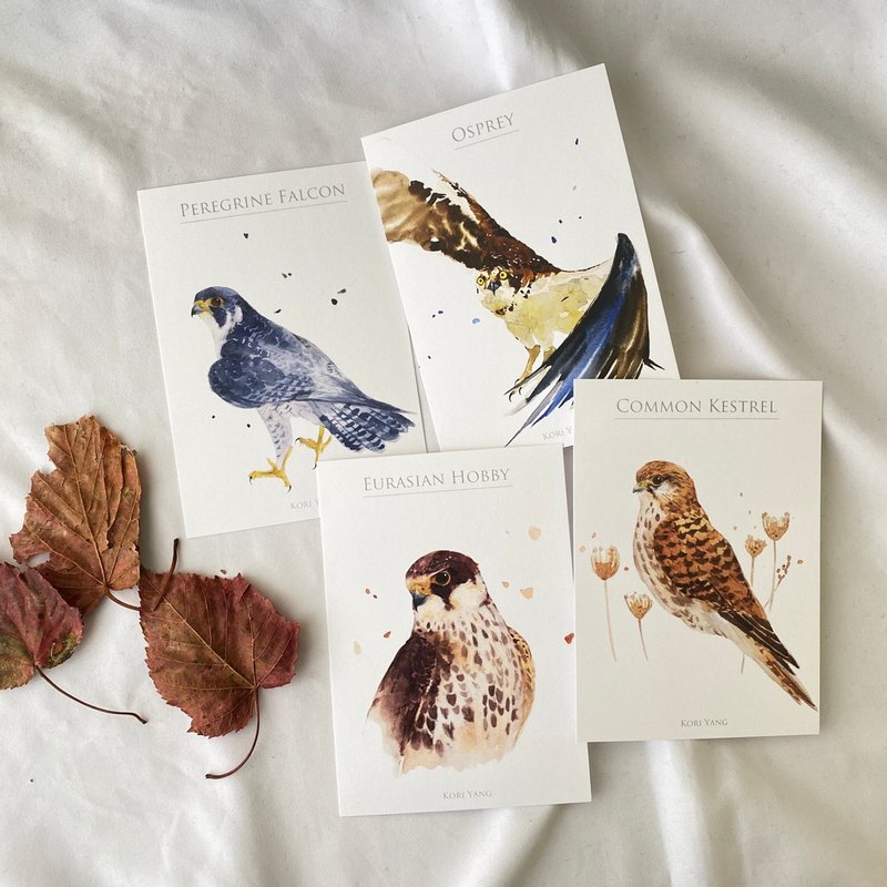 Birds Postcard Group 28 Raptor 5.0 - การ์ด/โปสการ์ด - กระดาษ 