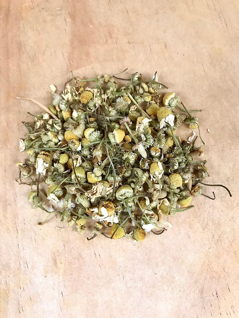 德國洋甘菊 Chamomile - 茶葉/茶包 - 植物．花 