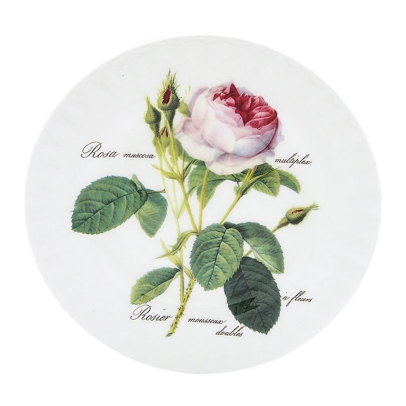 UK RK | Romantic light rose series 20cm dinner plate - จานและถาด - เครื่องลายคราม ขาว