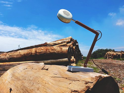 Soyee Soyee 設計的蜂巢燈 LED 梣木桌燈_復古白