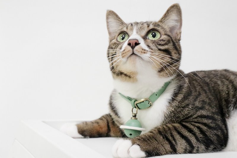 Meow's Leather Collar | Pet Collar | Customized - ปลอกคอ - หนังแท้ 