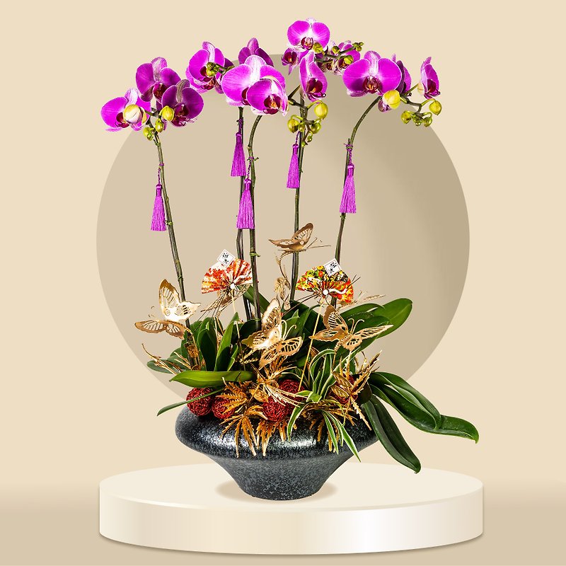 (GF00064) Lover No.2  - Large Moth / Phalaenopsis Orchids (5 Flowers) - Plants - Plants & Flowers 