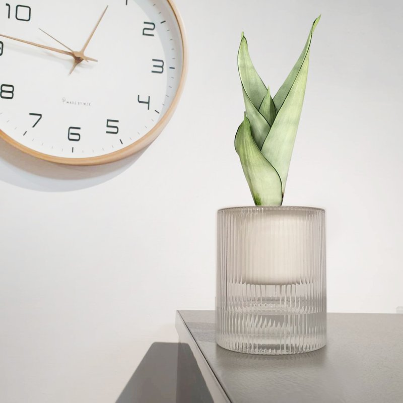 Silver Queen Sansevieria lazy potted plant - ตกแต่งต้นไม้ - พลาสติก สีเขียว