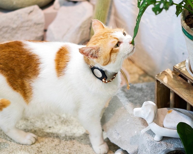 Customized soft collar for pet cats to prevent getting lost - ปลอกคอ - ผ้าฝ้าย/ผ้าลินิน 