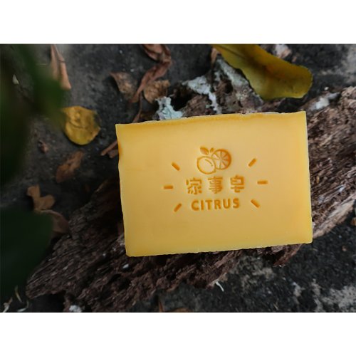 加菲風格皂章 【皂章C02】檸檬 柑橘家事章 CITRUS 家事皂章 Soap Stamp