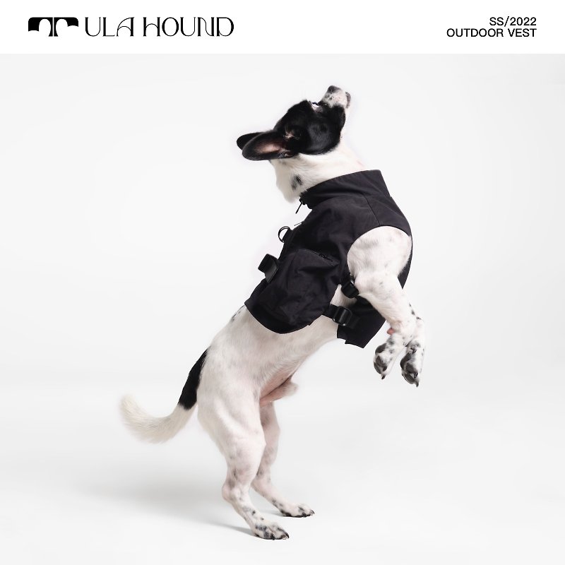 ULAHOUND ITALIAN GREYHOUND & WHIPPET DOG OUTDOOR VEST - Clothing & Accessories - Waterproof Material Multicolor