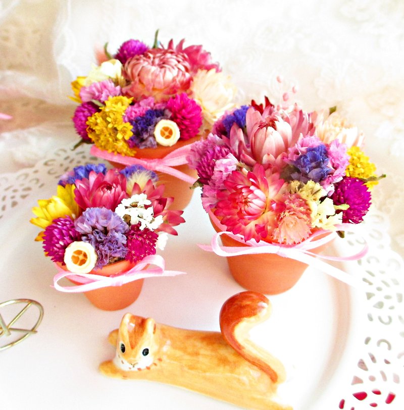 [Enjoy small potted flowers] dry flowers (mini type-pot diameter 5.5cm*height 5.5cm) - ตกแต่งต้นไม้ - พืช/ดอกไม้ 