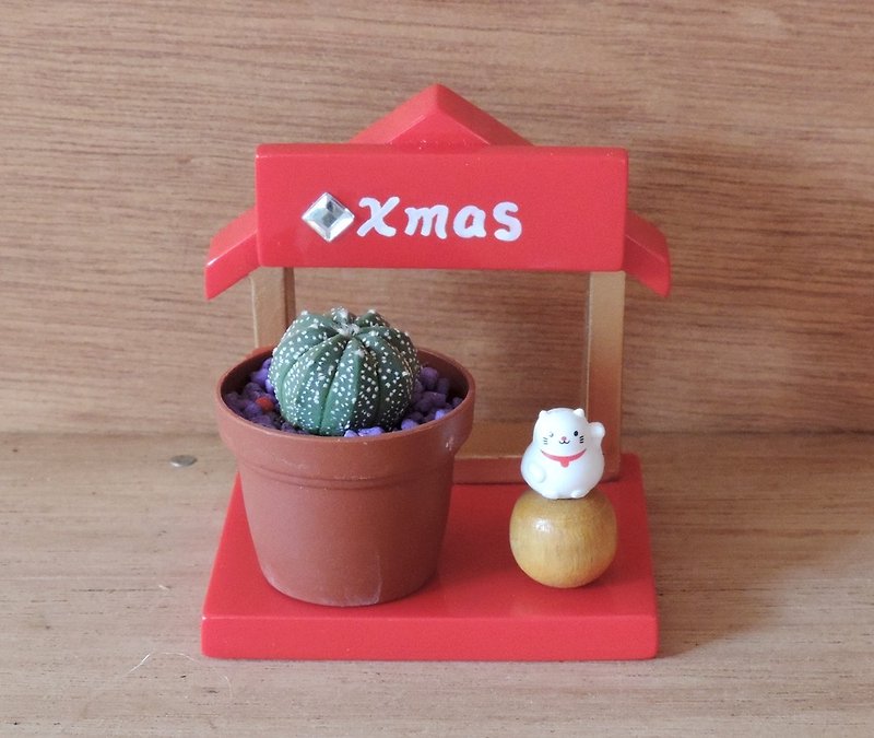 癒しのクリスマスハウス 多肉植物 [ラッキーキャットモデル] - 観葉植物 - その他の素材 
