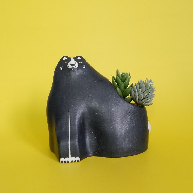 Ceramic Pot - Small Black Cat
