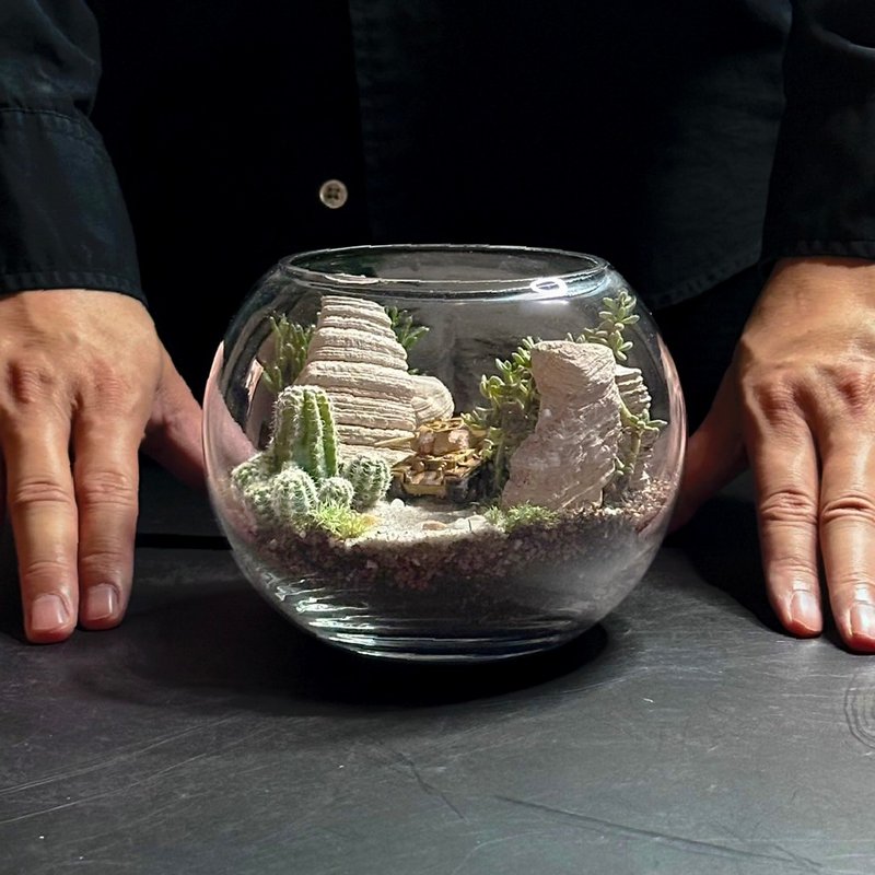 新品上市 沙狐之影 / 手工客製化微景觀生態盆 - 植栽/盆栽 - 植物．花 