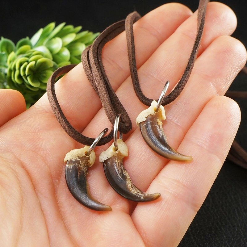 Wolf Claw Necklace Protection Amulet Beige Brown Boho Pendant Necklace Jewelry - Necklaces - Other Materials Brown