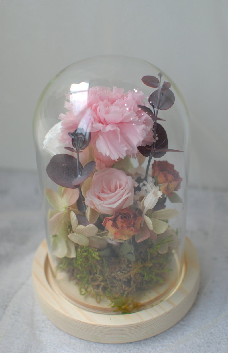 Immortal Carnation Glass Cup - Dried Flowers & Bouquets - Plants & Flowers 