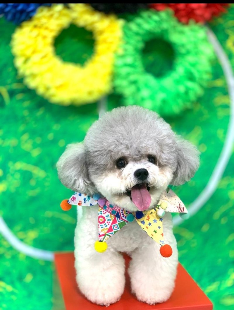 寵物 貓犬 彩球小丑派對圍巾 狗狗 - 項圈/牽繩 - 棉．麻 多色