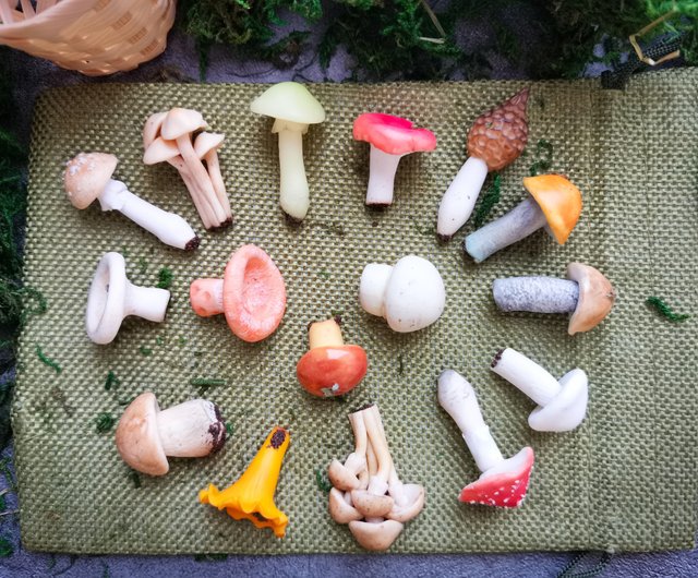 Mushrooms 16pcs set fairy garden terrarium kit, miniature mushroom decor -  Shop FRUIT STORIES Other Furniture - Pinkoi
