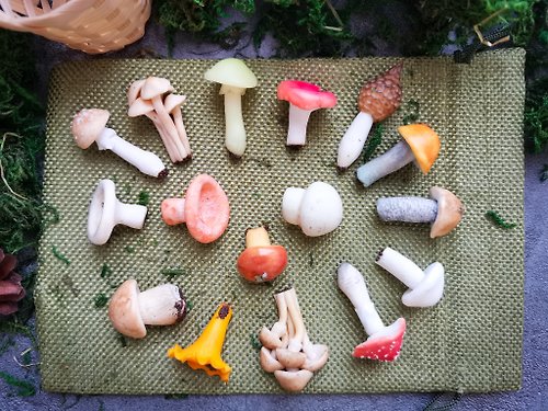 FRUIT STORIES 蘑菇 16 件套童話花園玻璃容器套件微型蘑菇裝飾